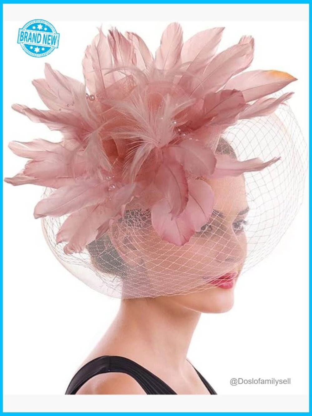 Fascinator Hat with Feathers Derby Tea Party Wedding Floral Mesh Clip-On